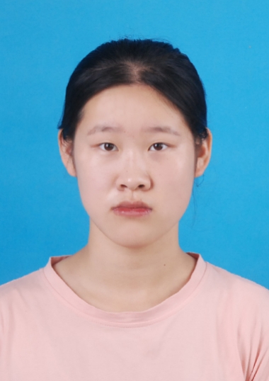 英语,语文,历史,政治